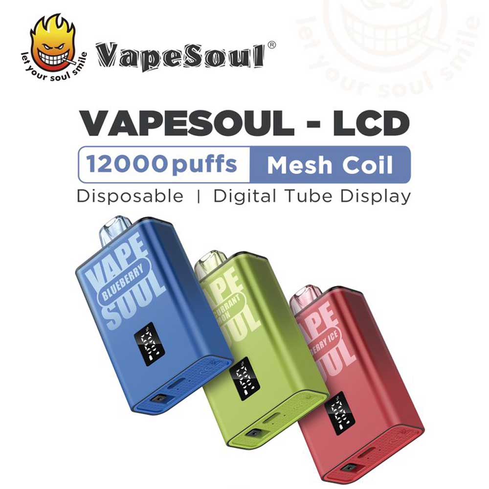 Vapesoul LCD Device (12000 Puffs)